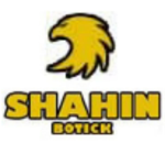 shahinbotick